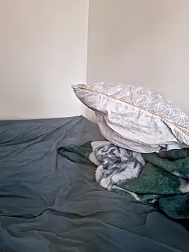 molozeb online show from October 13, 12:11 pm