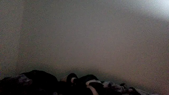 molozeb online show from November 8, 3:32 am