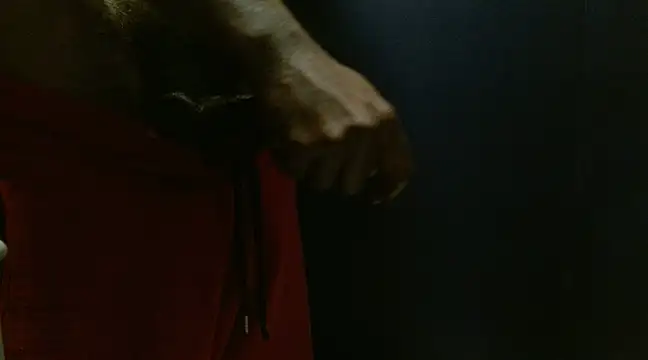 phbbcsham online show from January 24, 6:35 pm