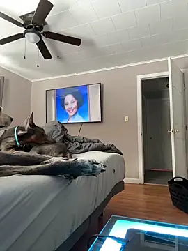 Snapshot of ryand12804 chatting on March 8, 6:24 pm ryand12804 online show from March 8, 6:24 pm