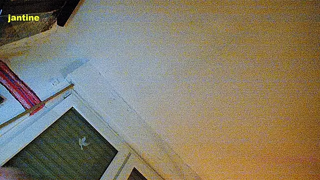 BongChannel online show from January 22, 11:53 pm