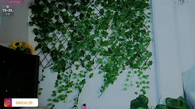 Daviid laidd online show from November 15, 10:12 pm