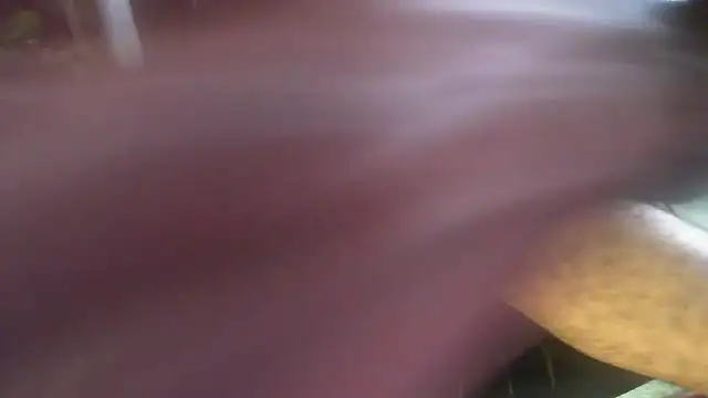 Carte1921 online show from March 11, 12:45 pm