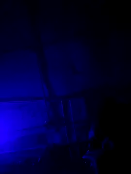 jordontheone1 online show from November 5, 9:50 pm