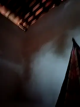 PIKAdePAU27 online show from December 24, 8:33 am