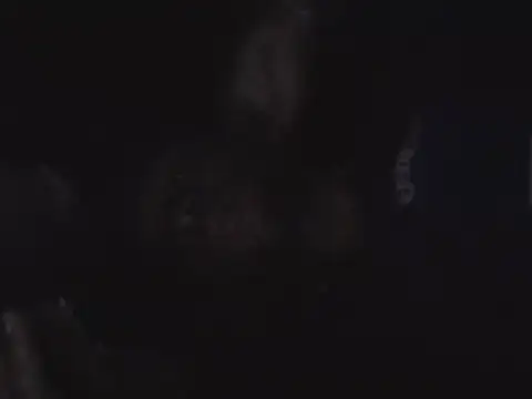 Cummingking025 online show from October 1, 6:01 pm