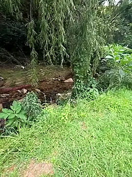 TheSouthernKing online show from February 5, 10:55 am