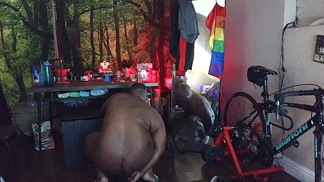 bigshh8 online show from November 13, 2:27 am