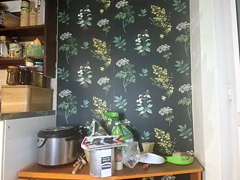 stavroun online show from March 26, 11:20 pm