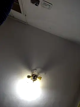 intx800 online show from December 11, 3:22 pm