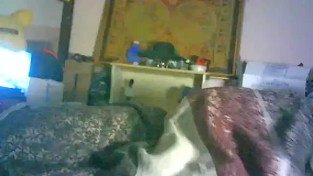 DI4MOND FIR3 online show from February 3, 6:22 am