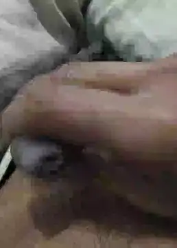 iaparna online show from January 4, 2:56 pm