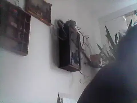 Bigpenis6y online show from December 29, 1:17 pm