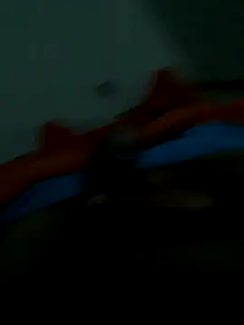 lm279 online show from November 28, 10:28 am