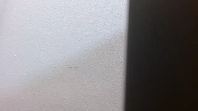 JackSwan18 online show from January 7, 8:14 pm