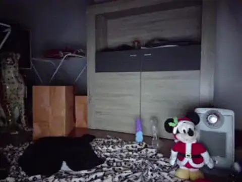 Angelbunn online show from December 22, 6:15 pm