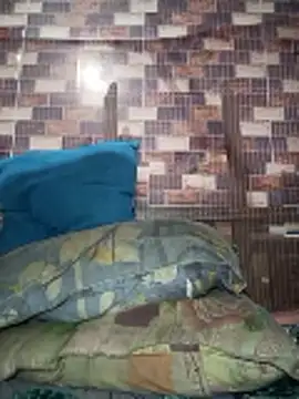 AssamSilchar93 online show from February 17, 4:28 pm