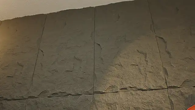 joseph boy online show from February 25, 11:22 am