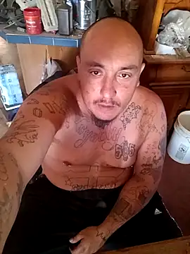 wilsons12 online show from November 7, 5:16 pm