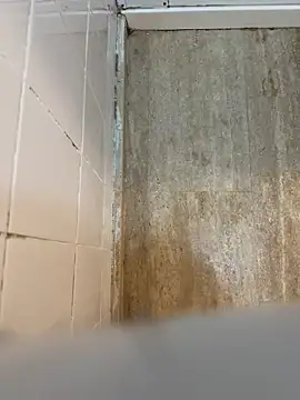 reelciii21 online show from March 23, 12:58 am