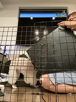 kensnb online show from September 13, 8:21 pm