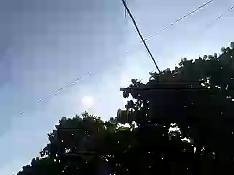 fdvign7 online show from November 5, 9:17 pm