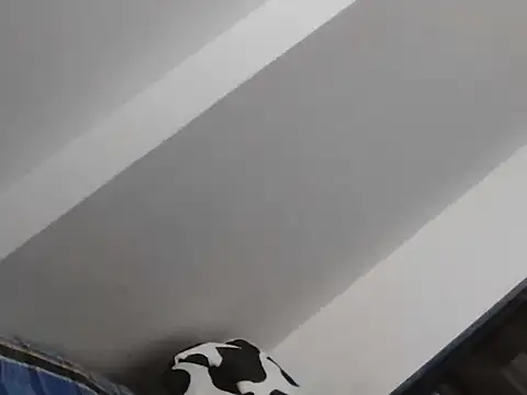 rexxonsex online show from November 3, 4:42 pm