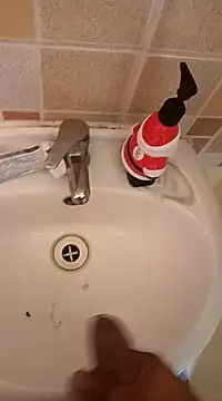 pedritolobito online show from January 10, 2:45 pm