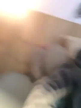 bogland33 online show from October 24, 7:37 pm