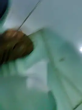 William390 online show from December 6, 11:25 pm