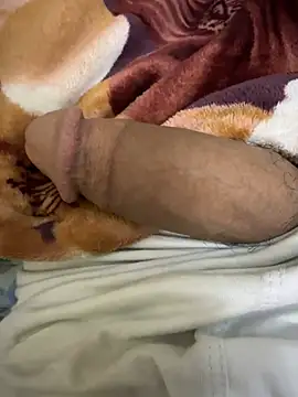 hamed-697 online show from December 24, 4:19 pm