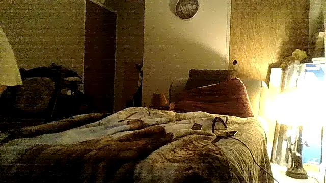 Jay81 online show from December 18, 9:04 am