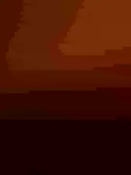 sailord online show from December 21, 7:45 am