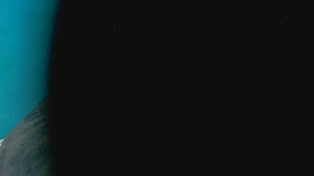 Penis58 online show from February 9, 2:55 pm