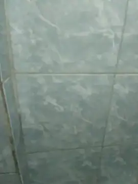 Pretordr online show from March 12, 12:42 am