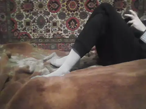 AlferezzSolvajo online show from January 10, 6:01 pm