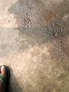 Raj41 online show from September 20, 2:55 am