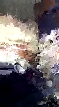 Raj41 online show from March 9, 8:40 am