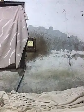 onewinnertee online show from November 16, 3:08 am