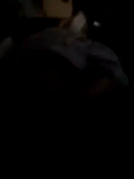 Sbu gold online show from December 4, 11:01 pm