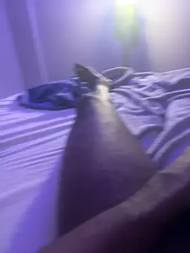 bigbola304 online show from February 25, 3:29 am