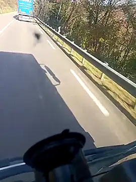 Dam70 online show from November 7, 1:14 pm