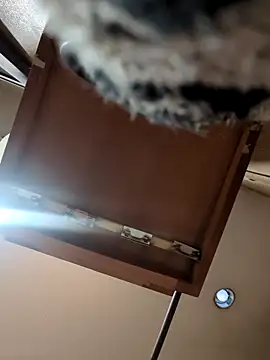 QueenM3 online show from March 11, 12:44 am