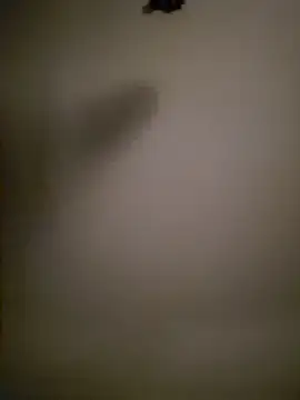 Mrnutella online show from March 3, 2:22 am