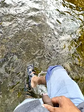 Fhhvccbbc online show from October 5, 3:54 am