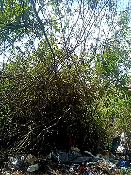 JuanMaty online show from December 2, 5:05 pm