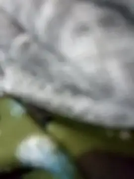 Hema0Hema online show from December 17, 4:35 pm