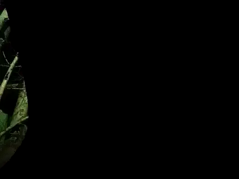 ConfidedAward online show from September 13, 11:22 am