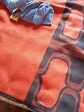 Snapshot of paptsimo chatting on October 24, 3:25 pm paptsimo online show from October 24, 3:25 pm