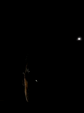 ARTANIS20 online show from September 13, 4:02 am